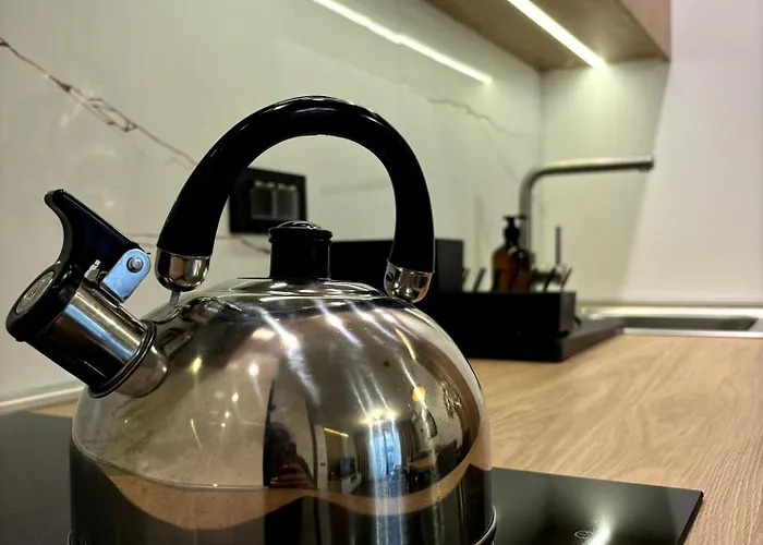 Wayout, & Wellness * 즐라티보