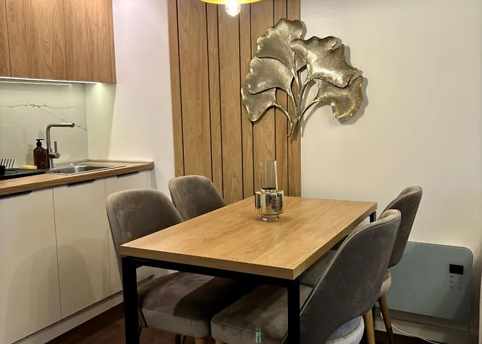 Wayout, & Wellness 즐라티보