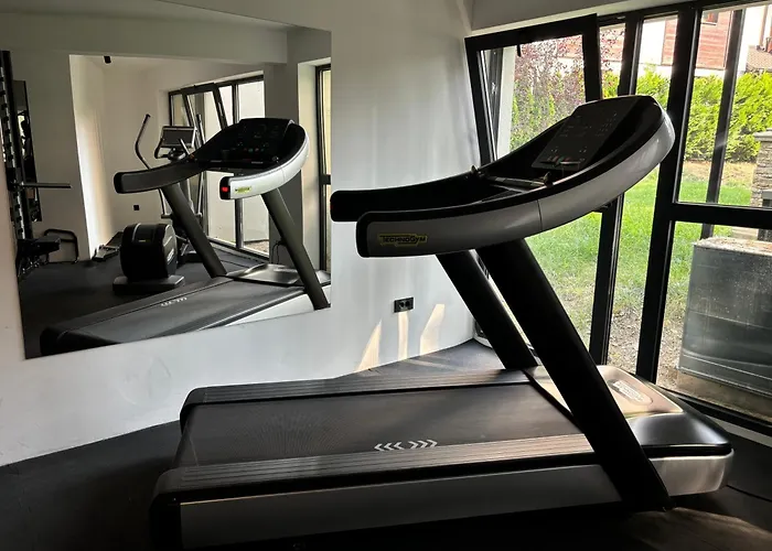 Wayout, & Wellness 즐라티보