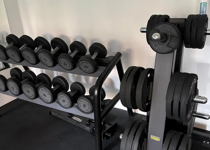 Wayout, & Wellness 즐라티보